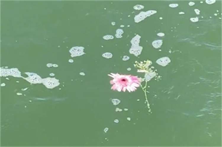 深圳宝安区海葬办理流程-3