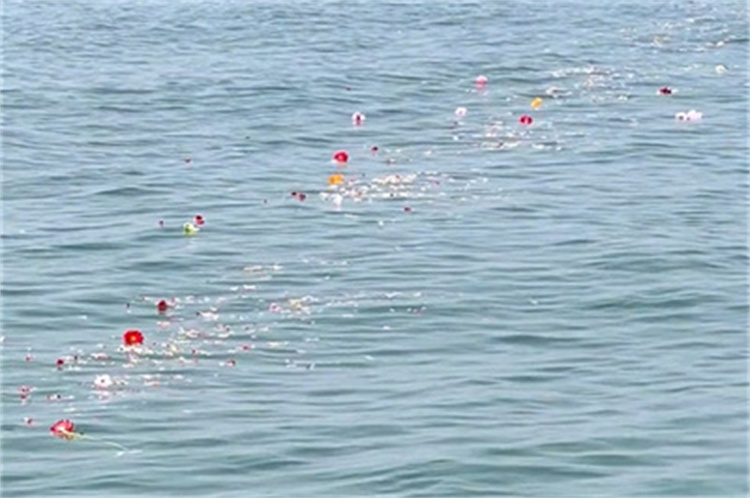 深圳海葬资格审核标准-2