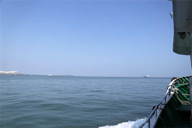 深圳市海葬补贴怎么给-1