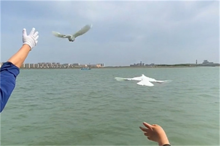 深圳海葬政策官方最新政策解读