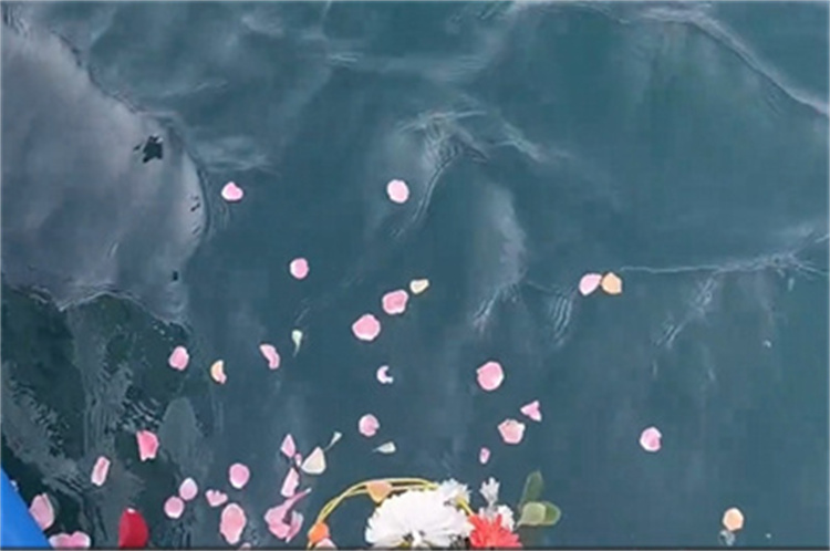 深圳市海葬流程及手续-3