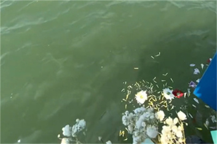 深圳大鹏湾海葬常见问题汇总-1