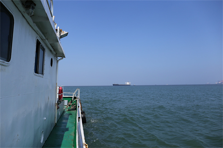 深圳骨灰海葬真实办理经验分享