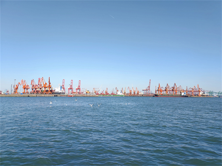 2024年深圳海葬预约流程-2