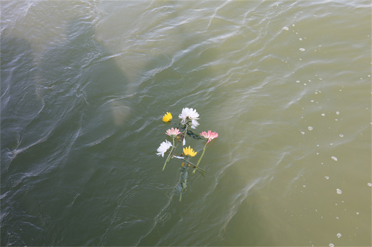 深圳市海葬价格是多少-1