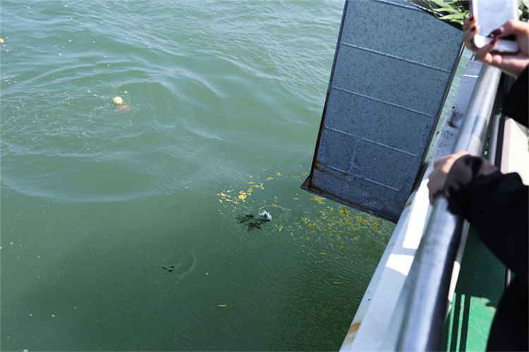 深圳殡仪馆海葬常见问题汇总-2