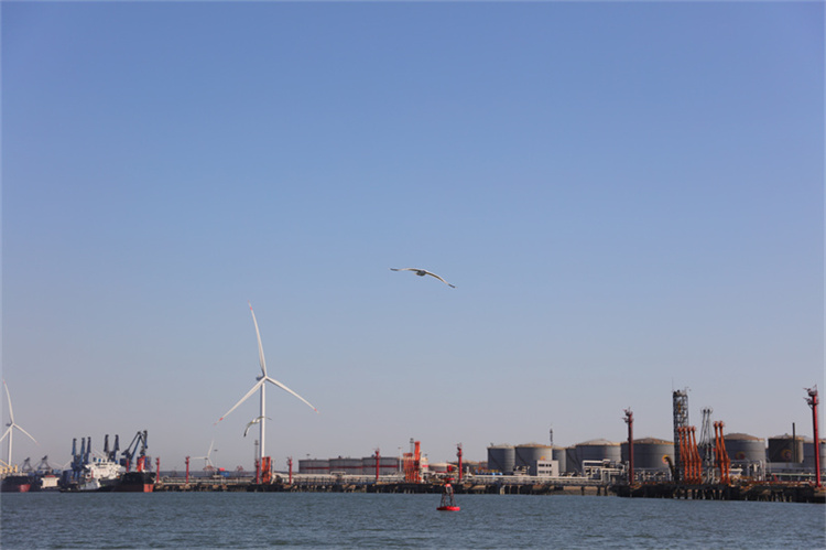 深圳海葬政策补贴详情-2