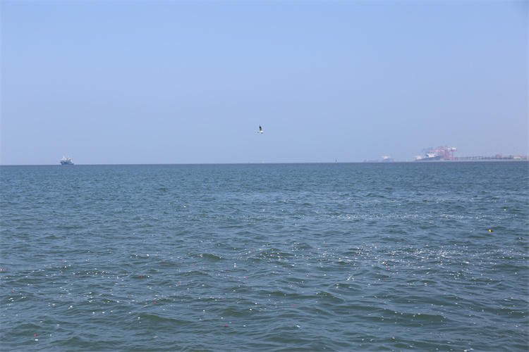 深圳海葬常见问题汇总-1