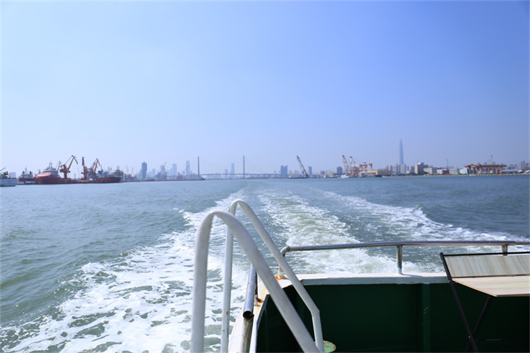 深圳大鹏湾海葬官方最新政策解读-1