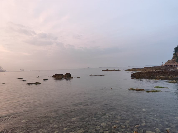 深圳政府海葬补贴标准-1