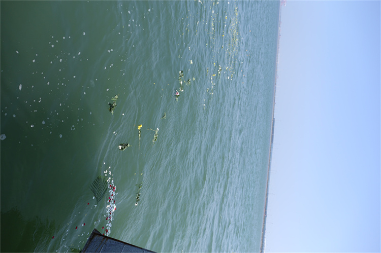 深圳市海葬政策2025年-1