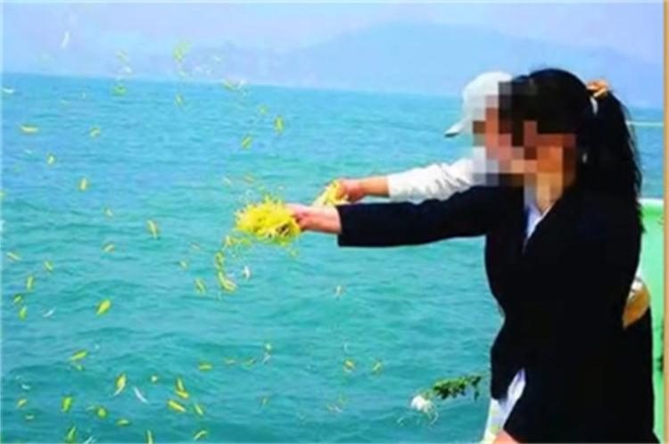 深圳海葬活动常见问题汇总-2
