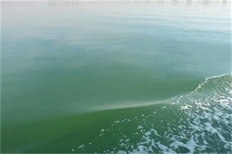 深圳海葬注意事项补贴-2