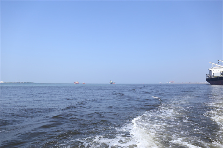 深圳市海葬办理地址在哪里