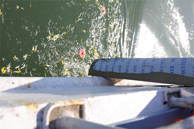 深圳海葬活动常见问题汇总-2