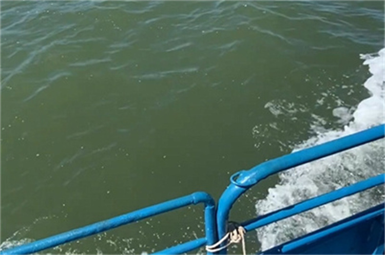 深圳海葬报名官方流程-2