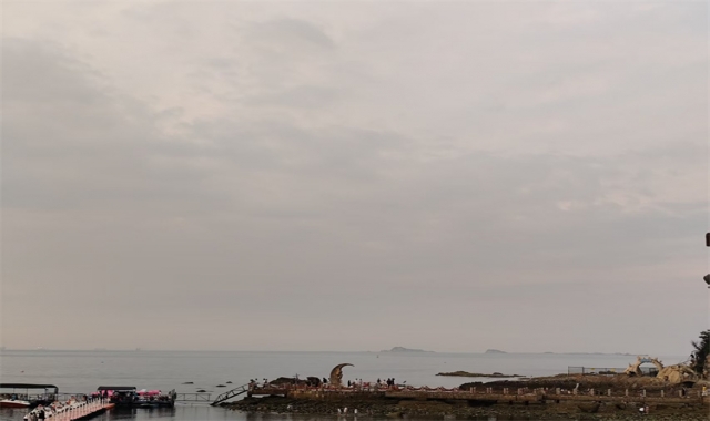 深圳免费海葬真实办理经验分享