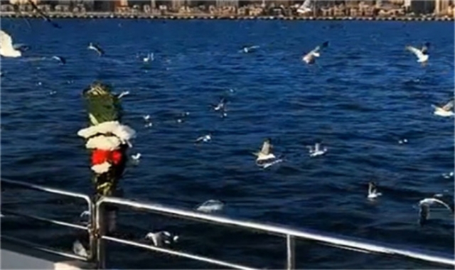 深圳海葬资格申请流程