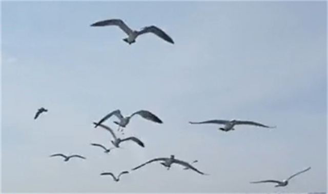 深圳市海葬补助标准