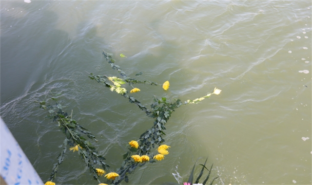 深圳海葬报名流程说明