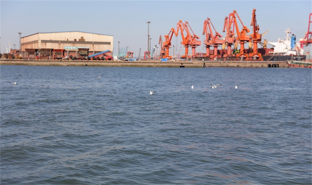 深圳海葬注意事项常见误区