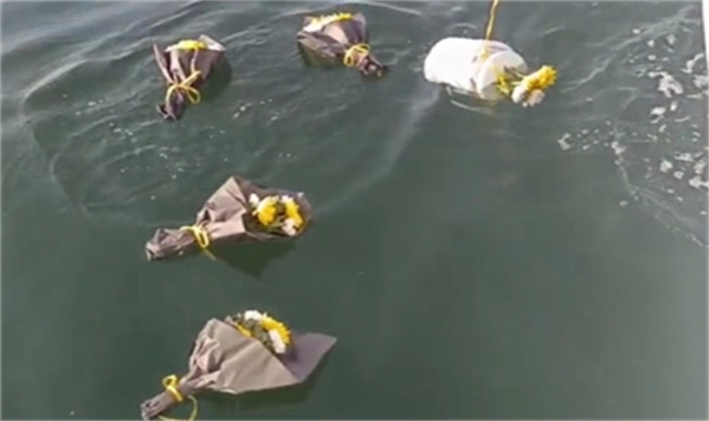 深圳市海葬免火化费用吗