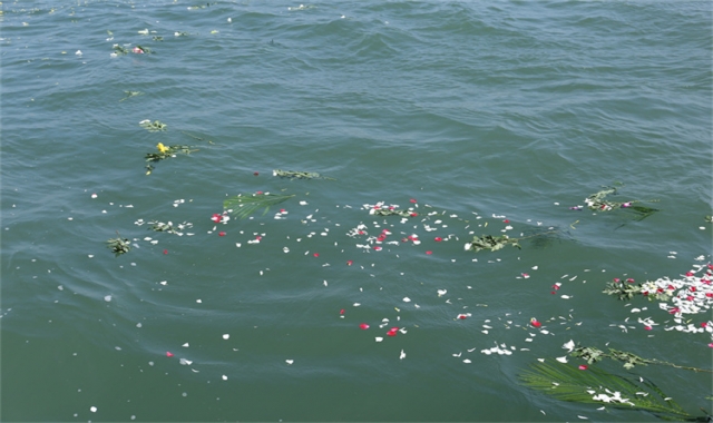 深圳龙岗海葬服务电话