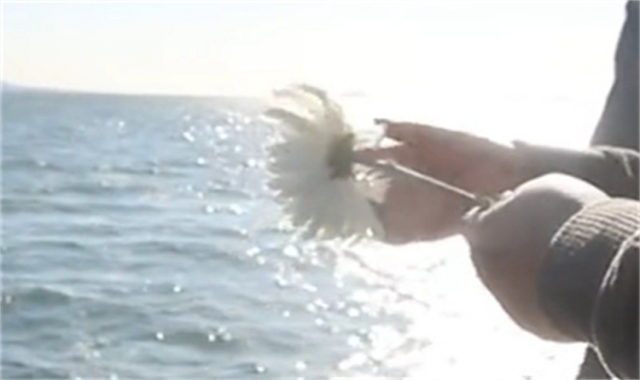 深圳民政海葬官方最新政策解读