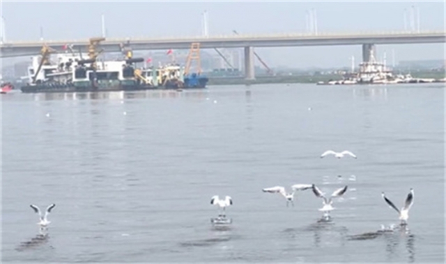 深圳南山海葬申请方式