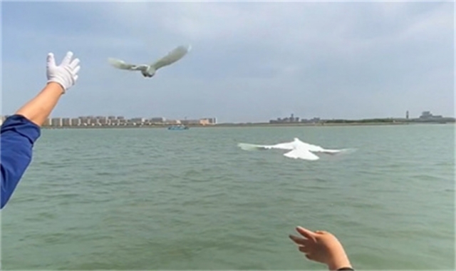 深圳海葬政策官方最新政策解读