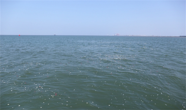 深圳民政海葬真实办理经验分享