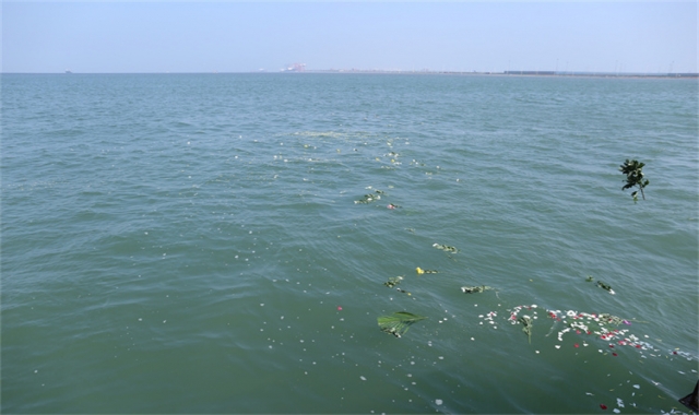 深圳市海葬奖励政策