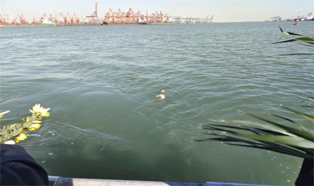 2023年深圳民政海葬