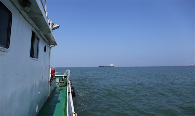 深圳骨灰海葬真实办理经验分享