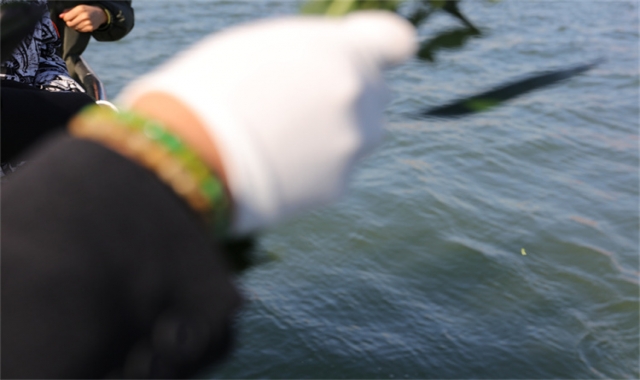 深圳市海葬服务中心