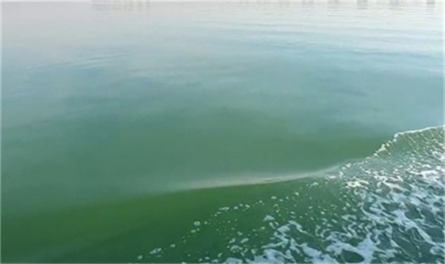 深圳海葬政策常见问题汇总