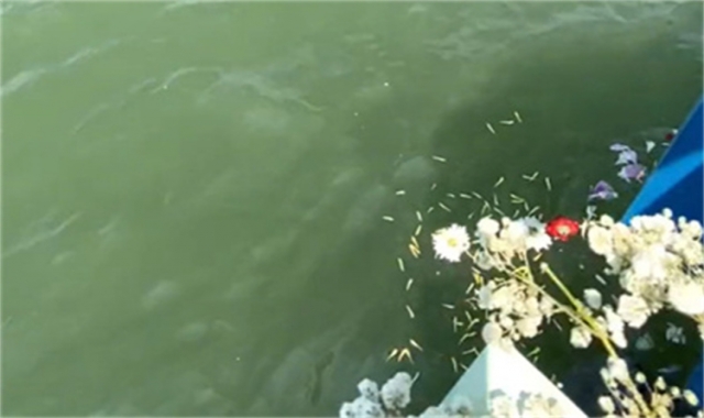 深圳海葬活动官方最新政策解读