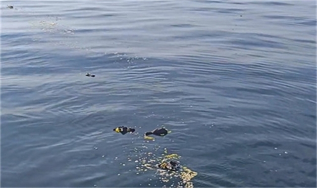 深圳海葬船只出海流程