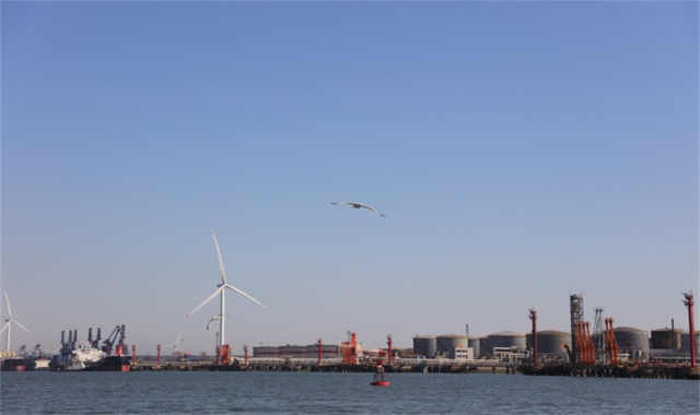 深圳市海葬是免费吗