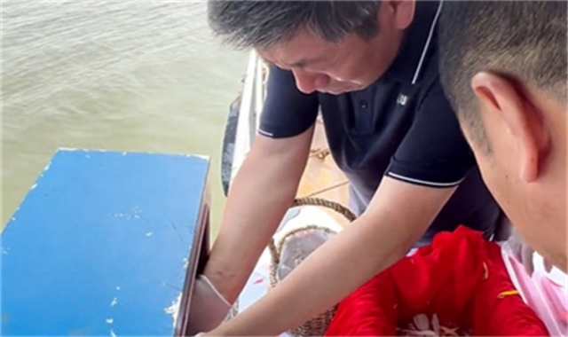 深圳市海葬的流程