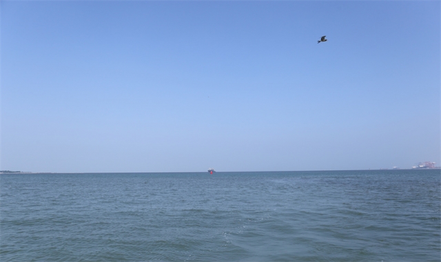 深圳海葬政策规定标准