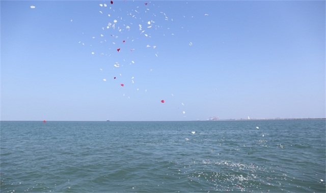 深圳海葬政策真实办理经验分享