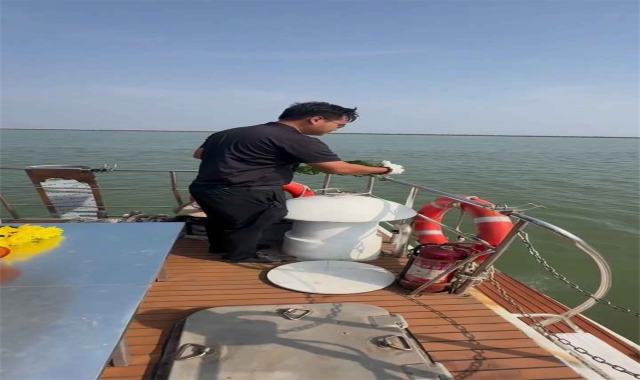 深圳海葬注意事项安排