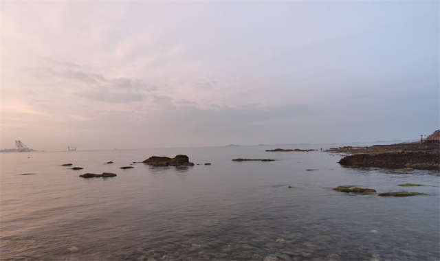 深圳海葬活动官方最新政策解读