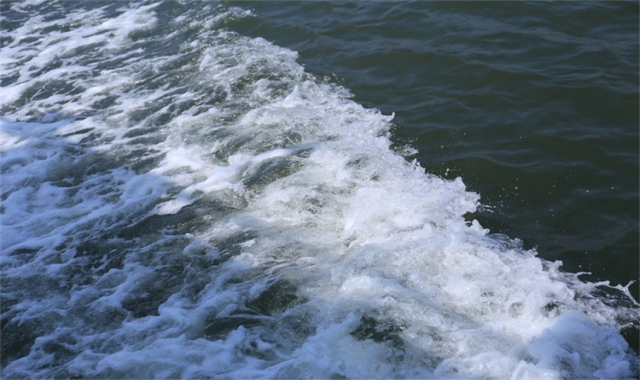 深圳海葬补贴真实办理经验分享