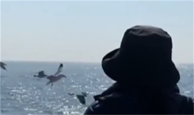 深圳光明区海葬申请标准