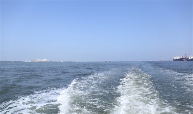 深圳海葬服务真实办理经验分享