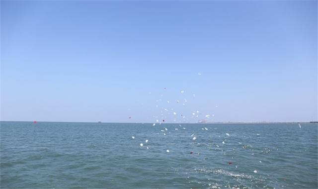 深圳民政海葬常见问题汇总