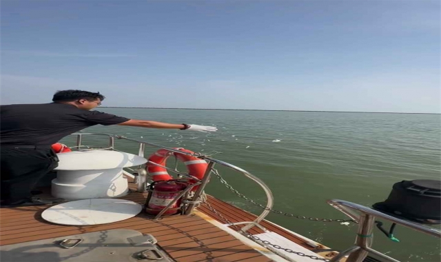 深圳海葬申请流程2025