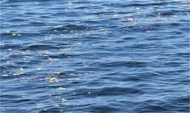 深圳海葬真实办理经验分享